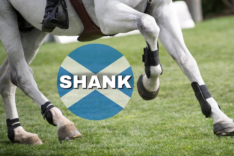 The term “shank” is used to refer to a leg. The phrase “Shank’s Pony” would refer to a poor man’s transport in pre-industrial Scotland. If you weren’t rich enough to buy a pony then you had to rely on your legs.