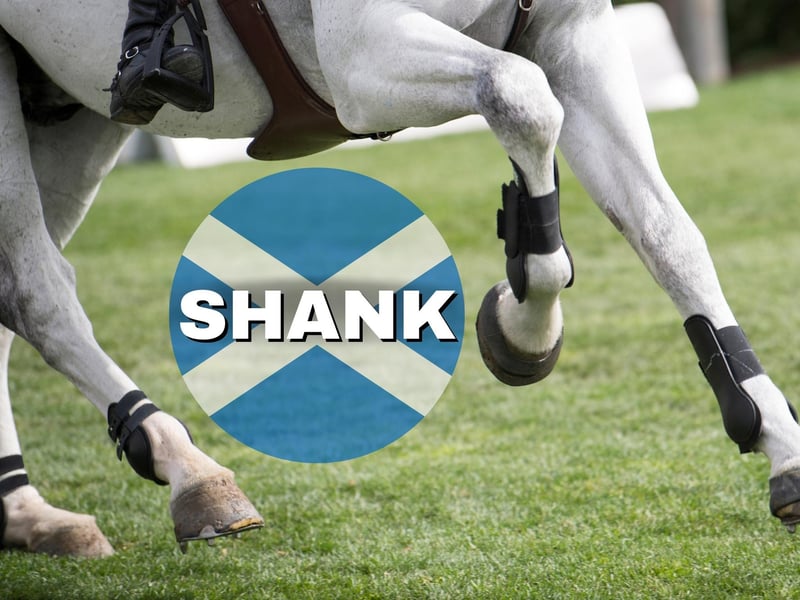 The term “shank” is used to refer to a leg. The phrase “Shank’s Pony” would refer to a poor man’s transport in pre-industrial Scotland. If you weren’t rich enough to buy a pony then you had to rely on your legs.