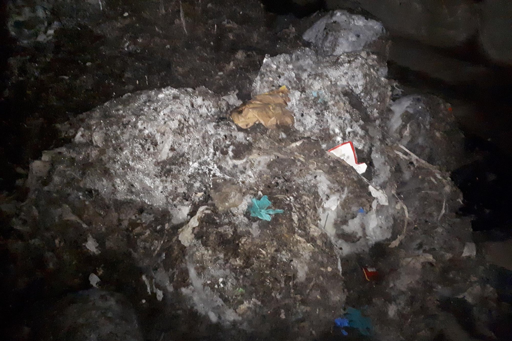 Scots firm to trial system that turns toilet-blocking waste into eco-friendly water cleaner