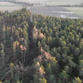 Forests in Aberdeenshire were particularly badly affected by Storm Arwen, with fears that more trees will come down as Storm Barra sweeps in