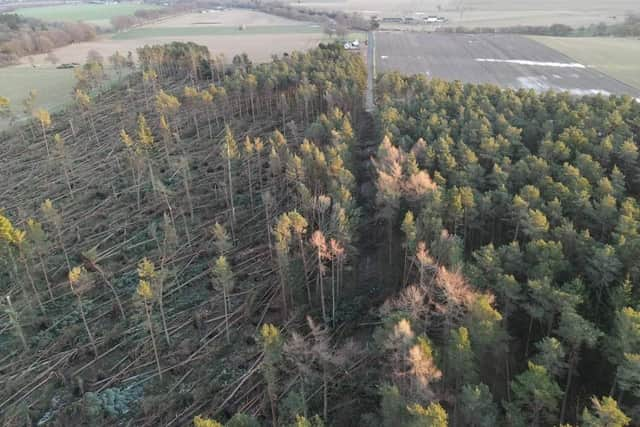 Forests in Aberdeenshire were particularly badly affected by Storm Arwen, with fears that more trees will come down as Storm Barra sweeps in