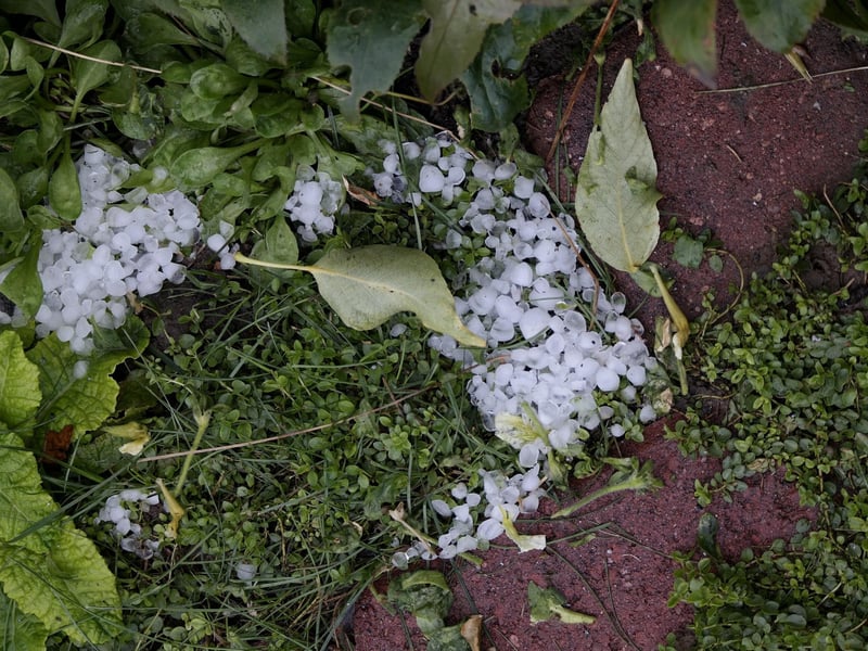 If you've ever been hit in the face by a hailstone then you'll know why the Scots refer to them as bullet staines i.e., bullet stones - they hit hard!