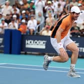 Andy Murray of Great Britain screams in pain after hurting his left ankle during his match against Tomas Machac.