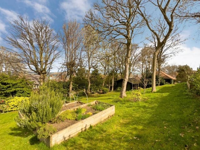 Garden.