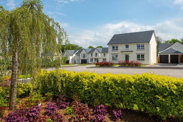 David Wilson Homes