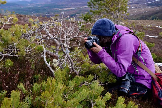 Dr Cat Hobaiter, from the University of St Andrews, photographed lichens in the Cairngorms under UV light as part of a study to discover why reindeer have blue eyes in winter