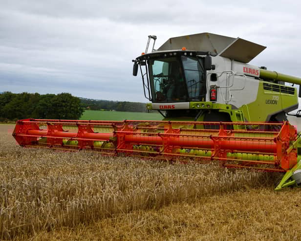Harvest time