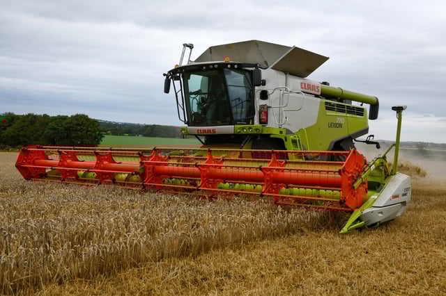 Harvest time