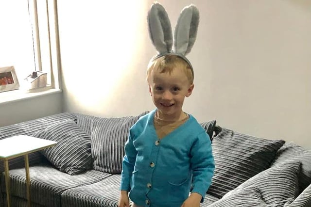 Noah, age 3, as Beatrix Potter's classic character Peter Rabbit.