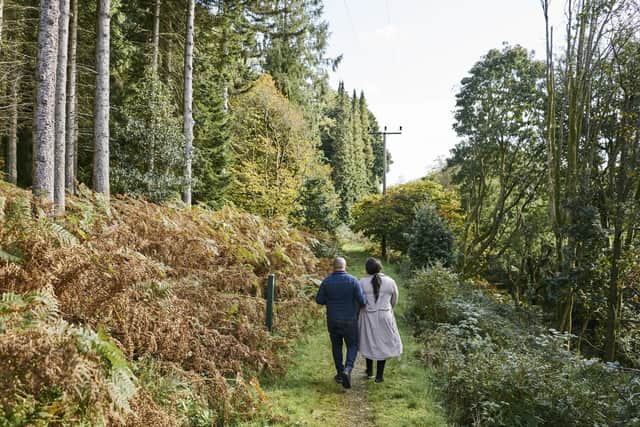 The arboretum is the perfect place for a stroll in the woods
Pic: FLS