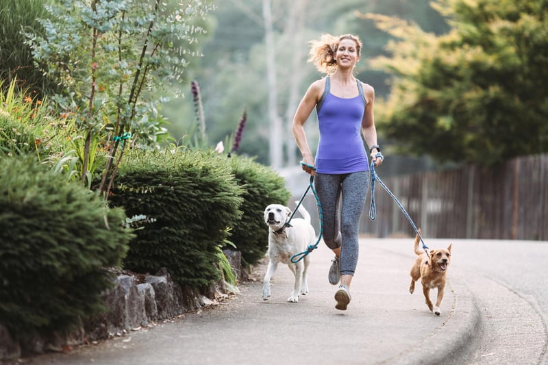 Most people go on runs or long walks with their dogs but running and walking for extended periods of time on concrete can be bad for your pets’ joints. Instead, why not look into swimming with your dog, playing frisbee, dancing, or hill walking. Know your dog and its capabilities and get creative with low impact exercises!