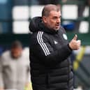 Ange Postecoglou is the second favourite for the Leicester job.