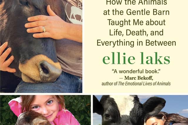 Cow Hug Therapy: How the Animals at the Gentle Barn Taught Me about Life, Death, and Everything In Between by Ellie Laks