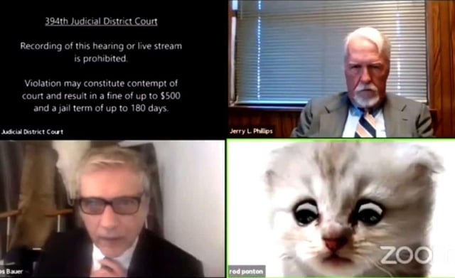 Rod Ponton accidentally popped up on screen using a cat filter and was unable to take it off (Credit: 394th District Court of Texas)