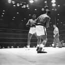 Muhammad Ali, then known as Cassius Clay, on his way to defeating Sonny Liston during their world heavyweight title fight at Miami Beach, Florida (Picture: Harry Benson/Getty Images)