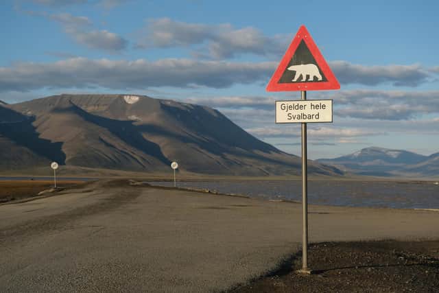 Svalbard, an archipelago about 750 miles north of the Arctic Circle, experienced an extraordinary heatwave during the summer that saw even the mountains nearly devoid of snow. The average winter temperature has risen by 10 degrees Celsius over the past 30 years, creating disruptions to the entire local ecosystem (Picture: Sean Gallup/Getty Images)