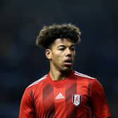 Fulham winger Sylvester Jasper has signed for Hibs on loan. (Photo by Charlotte Tattersall/Getty Images)