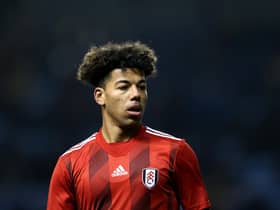 Fulham winger Sylvester Jasper has signed for Hibs on loan. (Photo by Charlotte Tattersall/Getty Images)