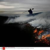 A gamekeeper burning off heather on a Grouse moor. Picture: Steve Cox/Shutterstock