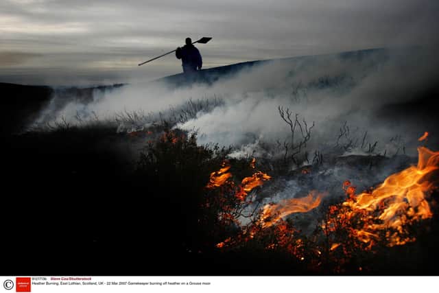 A gamekeeper burning off heather on a Grouse moor. Picture: Steve Cox/Shutterstock