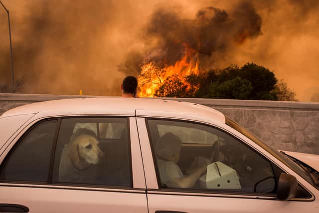 A family stops to see if their house and two cats will escape a wildfire in Tujunga near Burbank, California, a state which has faced increasing numbers of fires as the climate has got hotter (Picture: David McNew/Getty Images)