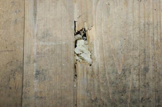 The damaged floorboard in Duddingston Row. Pic: Crown Office