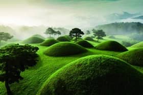 The Gaya Tumuli burial site in Korea.