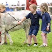 Four year-old pupils from Apple Tree Nursery in Argyll & Bute, Brogan Laurie, Neil George-McKirdy, Zander Simpson and Ava Wilson, travelled by boat and bus to present Miniature Mediterranean Donkey, Doris, with her First place rosette. After receiving a £400 donation from the Argyll & Bute Agricultural Committee, the pupils formed their own agricultural committee and decided to use the money to attend the Royal Highland Show. (Pic: Ian Georgeson)