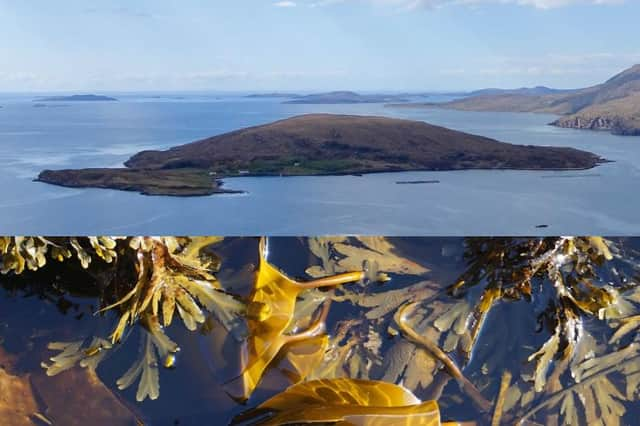 Isle Martin, home to Scotland's first ever seaweed festival PIC: Caroline Williams