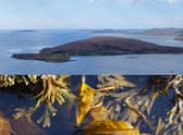 Isle Martin, home to Scotland's first ever seaweed festival PIC: Caroline Williams