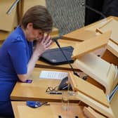 Nicola Sturgeon's plan to fight the next general election as a 'de facto' referendum is not backed by the public.