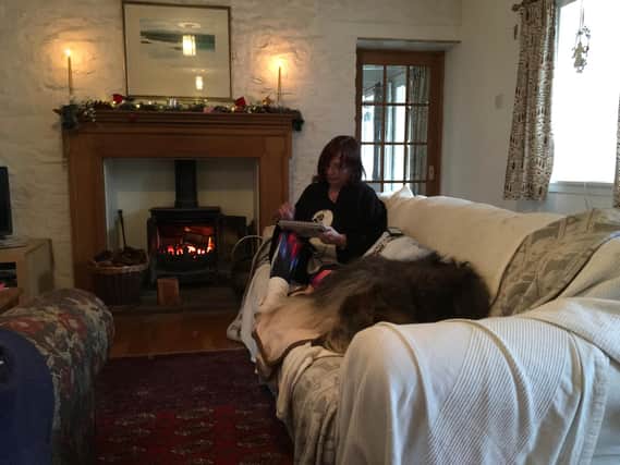 Annie working by her fire with her faithful rescue dogs
