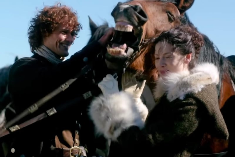 Fans of the show will remember the words “Dinna be daft, lass”. The Scots word means “stupid” so in the above picture you could say that the horse has a daft expression. The adjective becomes a noun with the term “dafty” which in Scots is - you guessed it - a term for a stupid person.
