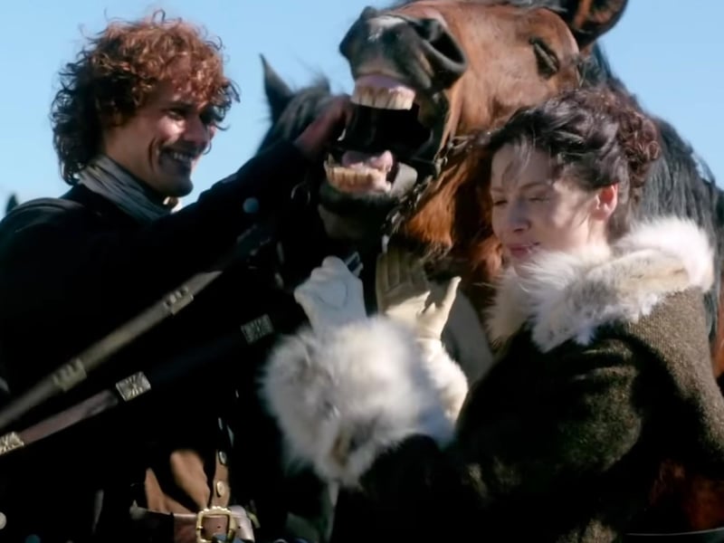 Fans of the show will remember the words “Dinna be daft, lass”. The Scots word means “stupid” so in the above picture you could say that the horse has a daft expression. The adjective becomes a noun with the term “dafty” which in Scots is - you guessed it - a term for a stupid person.