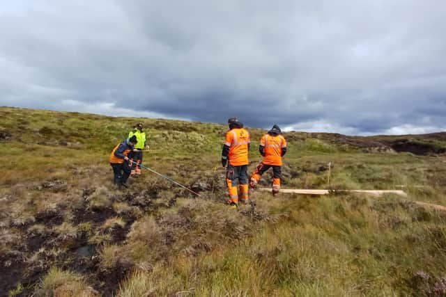 Durrell Wildlife Conservation Trust begins first major phase of rewilding project at Dalnacardoch Estate
