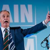 Reform UK leader Nigel Farage has promised 'Doge Lincolnshire' in reference to the government-slashing Department of Government Efficiency in the US, headed by Elon Musk. (Picture: Ian Forsyth/Getty Images)