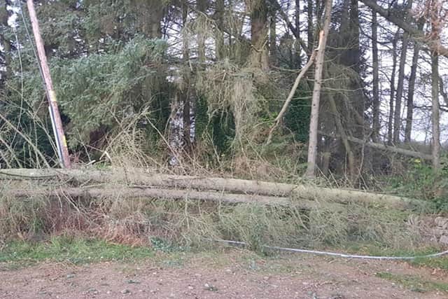 Fallen trees and damaged cables have left thousands without power for six consecutive nights since Storm Arwen hit. Picture : Clare Pennington/PA Wire