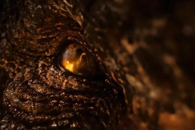At around 95-years-old, Vermithor was the dragon of King Jaehaerys, Viserys’ grandfather. The Bronze Fury is thought to be one of the largest dragons alive, and currently does not have a rider.