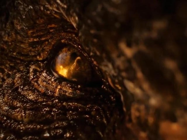 At around 95-years-old, Vermithor was the dragon of King Jaehaerys, Viserys’ grandfather. The Bronze Fury is thought to be one of the largest dragons alive, and currently does not have a rider.