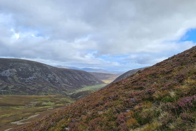 There is more heather moorland in the Isles of Britain and Ireland than anywhere else in the world (pic: supplied)