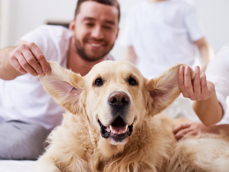 "Lug" is the Scots word for an ear, so in this case the saying means to listen up and pay attention.