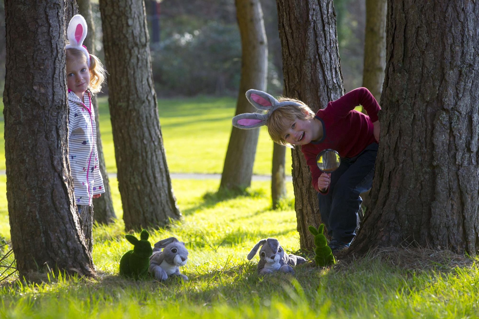 National Trust for Scotland gets set for Easter celebrations in Aberdeenshire
