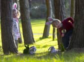 Easter Egg Trails will take place at National Trust for Scotland places across Aberdeenshire (Pic:NTS)