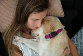 Some dogs just like to be as close to their owners as possible - like they are made from velcro.