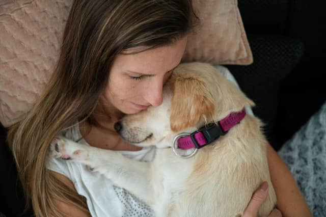 Some dogs just like to be as close to their owners as possible - like they are made from velcro.