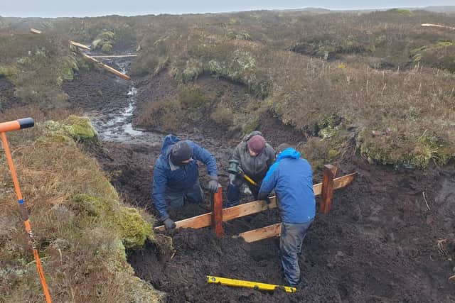 Perthshire contractor Daniel Carnegie and his team are working to repair damaged peat bogs in Loch Lomond and the Trossachs National Park