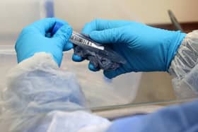 These are the 11 areas in Scotland with the most new coronavirus cases between March 20 and March 26.