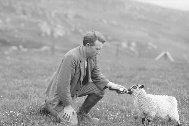 A visiting summer shepherd on Mingulay in the 1930s, taken by folklorist Margaret Fay Shaw. PIC: Courtesy of Canna House Photography Collections © The National Trust for Scotland”.