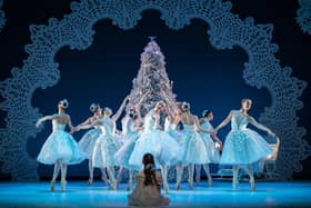 Scottish Ballet has warned of financial pressures.