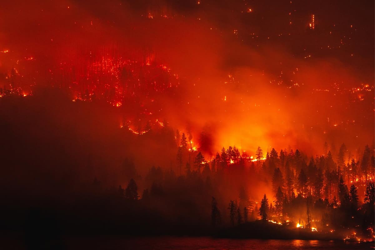 Red Climate Disaster IPCC climate change report: what are the main findings of the UN ...